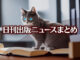 Text to Image by Stable Diffusion（RAW photo, the gray cat watching book, impressive blue eyes, a hand on page of open book, sitting on the desk near big bookshelf, a small window illuminates the cat, best quality）