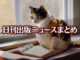 Text to Image by Adobe Firefly(beta) for non-commercial use（A beautiful calico is reading a book, sitting by a bright window.）
