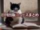 Text to Image by Adobe Firefly(beta) for non-commercial use（A beautiful black & white cat is reading a book, sitting by a bright window.）