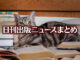 Text to Image by Adobe Firefly(beta) for non-commercial use（A American Shorthair lying on its stomach on top of books scattered all over the floor）
