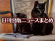 Text to Image by Adobe Firefly(beta) for non-commercial use（A solid black parent cat is sitting on a chair with a solid black child cat and reading a book）