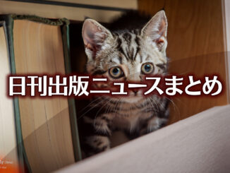 Text to Image by Adobe Firefly(beta) for non-commercial use（1匹の 銀の縞模様の子猫が 本の詰まった棚の隙間から 下を覗いている様子を 見上げる構図）