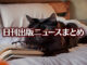 Text to Image by Adobe Firefly(beta) for non-commercial use（ベッドの上で 本を読んでいた 長毛の黒猫が メガネを外して こっちを見ている）