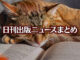 Text to Image by Adobe Firefly(beta) for non-commercial use（開いた本の上で 寝ている 赤茶縞の猫）