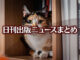 Text to Image by Adobe Firefly(beta) for non-commercial use（本棚の一角で 座って正面を見ている 三毛猫）