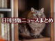 Text to Image by Adobe Firefly(beta) for non-commercial use（本棚の一角で 座って正面を見ている 長毛灰猫）