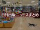 【写真】書店の中を猫が歩いている