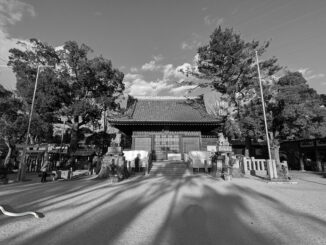 【写真】地元の神社（巳年が終わるイメージ）
