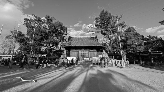 【写真】地元の神社（巳年が終わるイメージ）