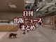 【写真】BUNKITSU TOKYO＋猫