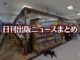 【写真】オリオン書房 ノルテ店＋猫