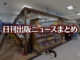 【写真】オリオン書房 ノルテ店＋猫